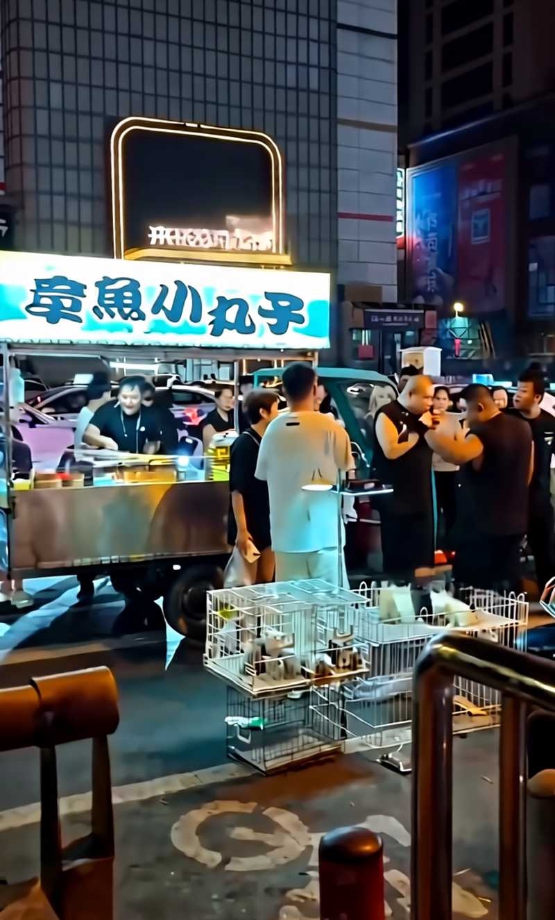 吉林长春夜市 白衣胖子醉酒 挑衅章鱼小丸子摊 精神小伙看不惯直接群殴 封面