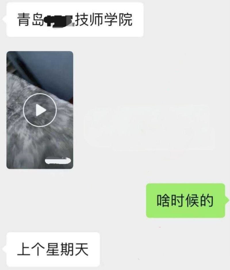 青岛海洋技师学院 眼镜婊女大学生 跟男友在学校野战被偷拍曝光 封面