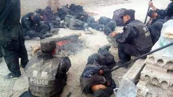 吃瓜群众在看警方,揭秘案件背后真相