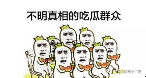 吃瓜大群,网络社交新现象背后的故事