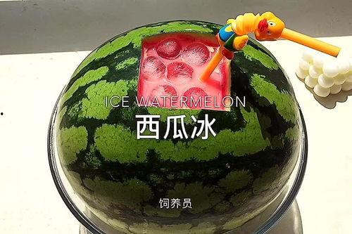 吃瓜吃过瘾,一瓜在手，快乐我有！