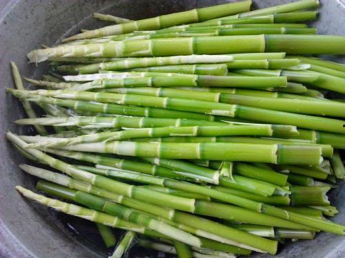 吃竹笋可以吃籽瓜嘛,探索两者的美味搭配