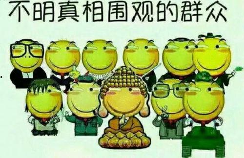 吃瓜群众螃蟹哥,吃瓜群众的美食探索之旅