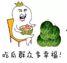 合格吃瓜的群众,揭秘网络舆论场中的理性力量