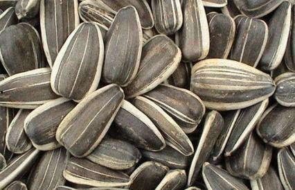 瓜葵籽怎么吃,瓜葵籽的多样食用方法探索