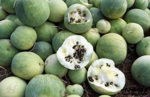 国人吃瓜能力,全民娱乐时代的全民参与