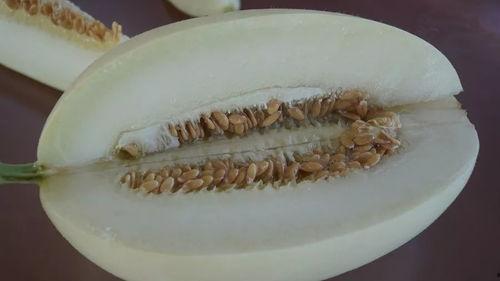 带你吃瓜背诗,感受古典诗词的魅力