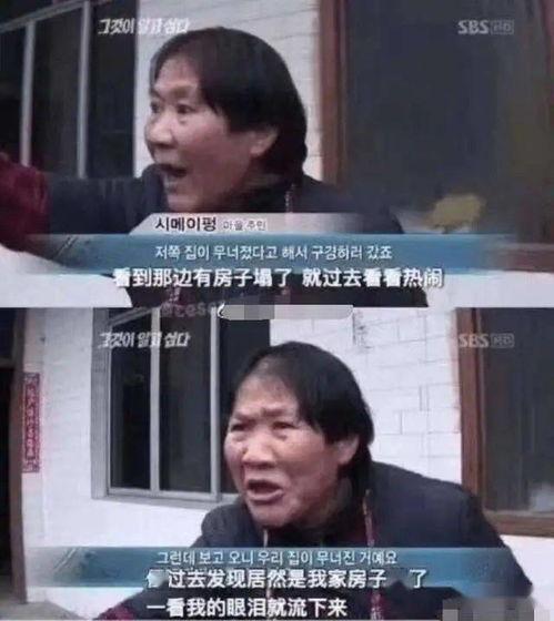 吃瓜暴雷,行业巨头暴雷真相大揭秘