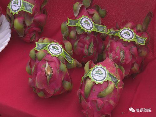 戏曲吃瓜,揭秘幕后故事与精彩瞬间