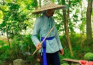 乾隆吃瓜越吃越淡