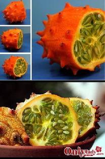 老外吃的角瓜,老外眼中的角瓜风味之旅