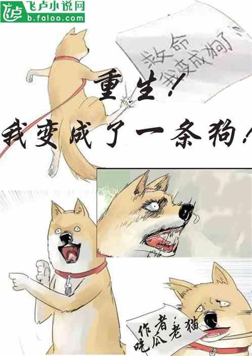 依依吃瓜小说全文阅读,揭秘娱乐圈背后的秘密