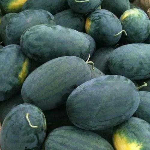 武汉如梦吃瓜,一场吃瓜盛宴背后的城市故事